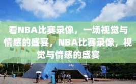 看NBA比赛录像，一场视觉与情感的盛宴，NBA比赛录像，视觉与情感的盛宴