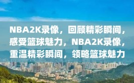 NBA2K录像，回顾精彩瞬间，感受篮球魅力，NBA2K录像，重温精彩瞬间，领略篮球魅力