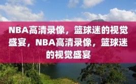 NBA高清录像，篮球迷的视觉盛宴，NBA高清录像，篮球迷的视觉盛宴