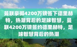 曼联豪掷4200万镑签下德里赫特，热潮背后的足球智慧，曼联4200万镑签约德里赫特，足球智慧背后的热潮