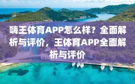 嗨王体育APP怎么样？全面解析与评价，王体育APP全面解析与评价