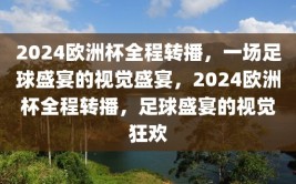 2024欧洲杯全程转播，一场足球盛宴的视觉盛宴，2024欧洲杯全程转播，足球盛宴的视觉狂欢