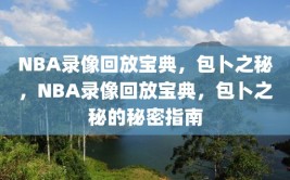 NBA录像回放宝典，包卜之秘，NBA录像回放宝典，包卜之秘的秘密指南