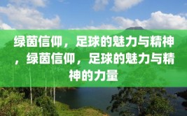 绿茵信仰，足球的魅力与精神，绿茵信仰，足球的魅力与精神的力量