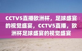 CCTV5直播欧洲杯，足球盛宴的视觉盛宴，CCTV5直播，欧洲杯足球盛宴的视觉盛宴