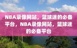 NBA录像网站，篮球迷的必备平台，NBA录像网站，篮球迷的必备平台