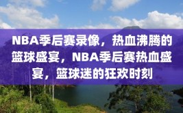 NBA季后赛录像，热血沸腾的篮球盛宴，NBA季后赛热血盛宴，篮球迷的狂欢时刻