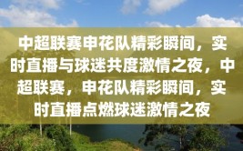 中超联赛申花队精彩瞬间，实时直播与球迷共度激情之夜，中超联赛，申花队精彩瞬间，实时直播点燃球迷激情之夜