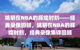 姚明在NBA的辉煌时刻——经典录像回顾，姚明在NBA的辉煌时刻，经典录像集锦回顾