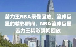 苦力王NBA录像回放，篮球巨星的精彩瞬间，NBA篮球巨星苦力王精彩瞬间回放