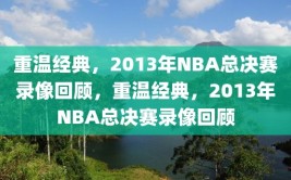 重温经典，2013年NBA总决赛录像回顾，重温经典，2013年NBA总决赛录像回顾