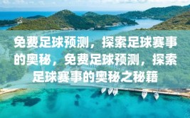 免费足球预测，探索足球赛事的奥秘，免费足球预测，探索足球赛事的奥秘之秘籍