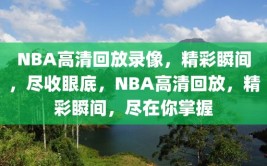 NBA高清回放录像，精彩瞬间，尽收眼底，NBA高清回放，精彩瞬间，尽在你掌握