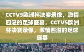 CCTV5欧洲杯决赛录像，激情四溢的足球盛宴，CCTV5欧洲杯决赛录像，激情四溢的足球盛宴