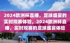 2024欧洲杯直播，足球盛宴的实时观赛体验，2024欧洲杯直播，实时观赛的足球盛宴体验