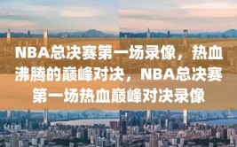 NBA总决赛第一场录像，热血沸腾的巅峰对决，NBA总决赛第一场热血巅峰对决录像