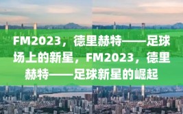 FM2023，德里赫特——足球场上的新星，FM2023，德里赫特——足球新星的崛起