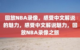 回放NBA录像，感受中文解说的魅力，感受中文解说魅力，回放NBA录像之旅