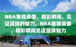 NBA集锦录像，精彩瞬间，见证篮球的魅力，NBA集锦录像，精彩瞬间见证篮球魅力