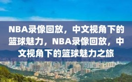 NBA录像回放，中文视角下的篮球魅力，NBA录像回放，中文视角下的篮球魅力之旅