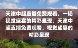 天津中超直播免费观看，一场视觉盛宴的精彩呈现，天津中超直播免费观看，视觉盛宴的精彩呈现