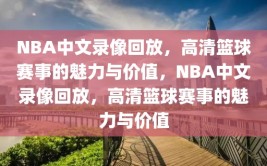 NBA中文录像回放，高清篮球赛事的魅力与价值，NBA中文录像回放，高清篮球赛事的魅力与价值