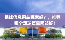 足球信息网站哪家好？，推荐，哪个足球信息网站好？