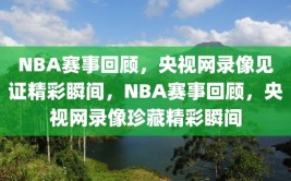 NBA赛事回顾，央视网录像见证精彩瞬间，NBA赛事回顾，央视网录像珍藏精彩瞬间