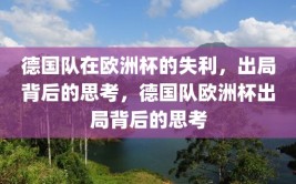 德国队在欧洲杯的失利，出局背后的思考，德国队欧洲杯出局背后的思考