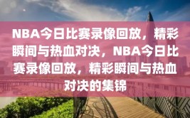 NBA今日比赛录像回放，精彩瞬间与热血对决，NBA今日比赛录像回放，精彩瞬间与热血对决的集锦