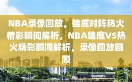 NBA录像回放，雄鹿对阵热火精彩瞬间解析，NBA雄鹿VS热火精彩瞬间解析，录像回放回顾