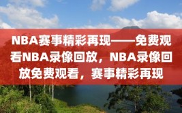 NBA赛事精彩再现——免费观看NBA录像回放，NBA录像回放免费观看，赛事精彩再现