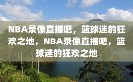 NBA录像直播吧，篮球迷的狂欢之地，NBA录像直播吧，篮球迷的狂欢之地