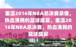 重温2016年NBA总决赛录像，热血沸腾的篮球盛宴，重温2016年NBA总决赛，热血沸腾的篮球盛宴